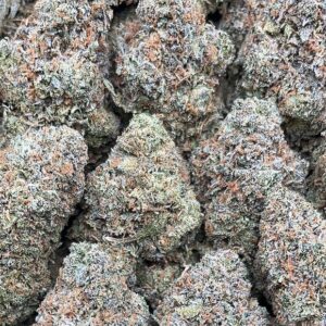 Astro Pop Strain– PK389
