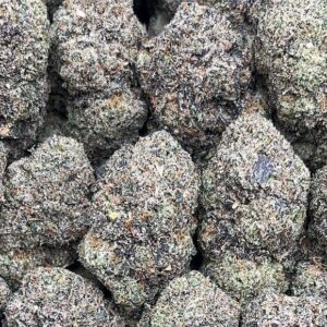 Blue Cheese Strain– PK339