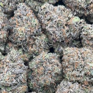 Platinum Blueberry Weed Strain