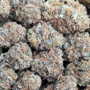 Malawi Gold Weed Strain
