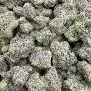 Ponche Nuevo Strain