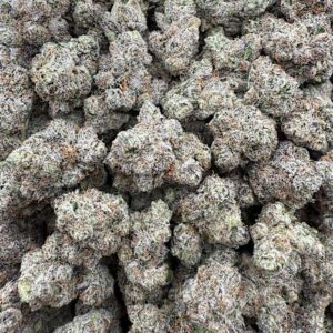 Blue Rhino LICENSED EXOTIC