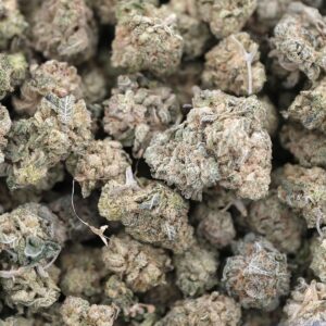 Jungle Spice Strain