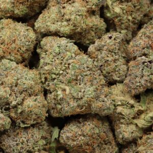 Hindu Kush Strain
